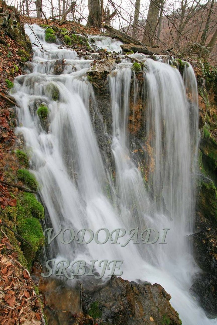 Beljanički buk - fotografija 2