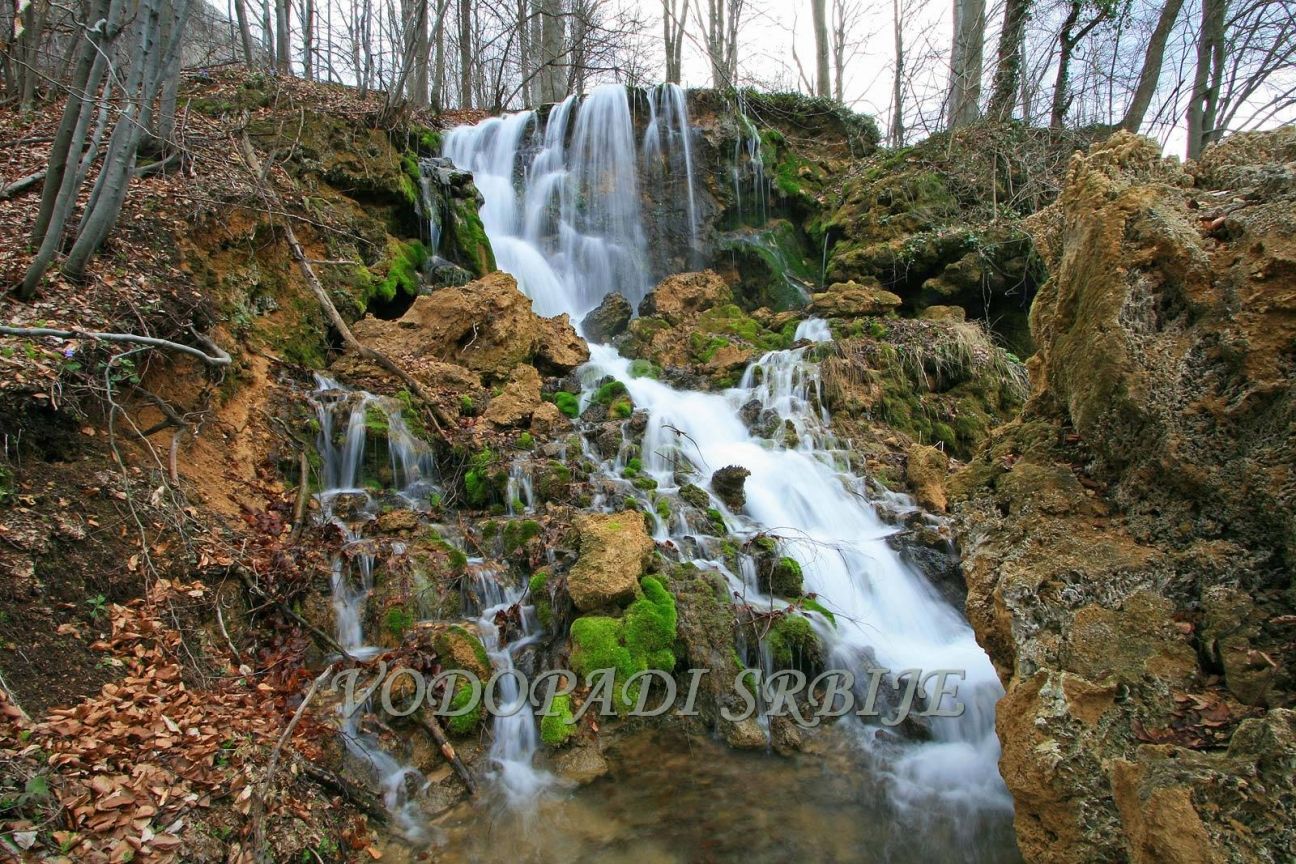 Beljanički buk - fotografija 3