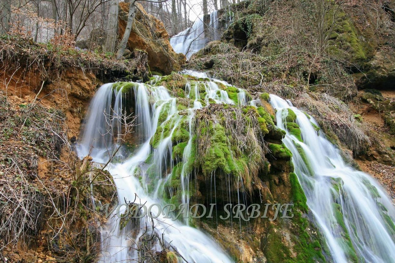 Beljanički buk - fotografija 4