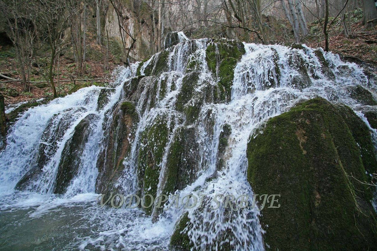 Beli izvor - fotografija 3